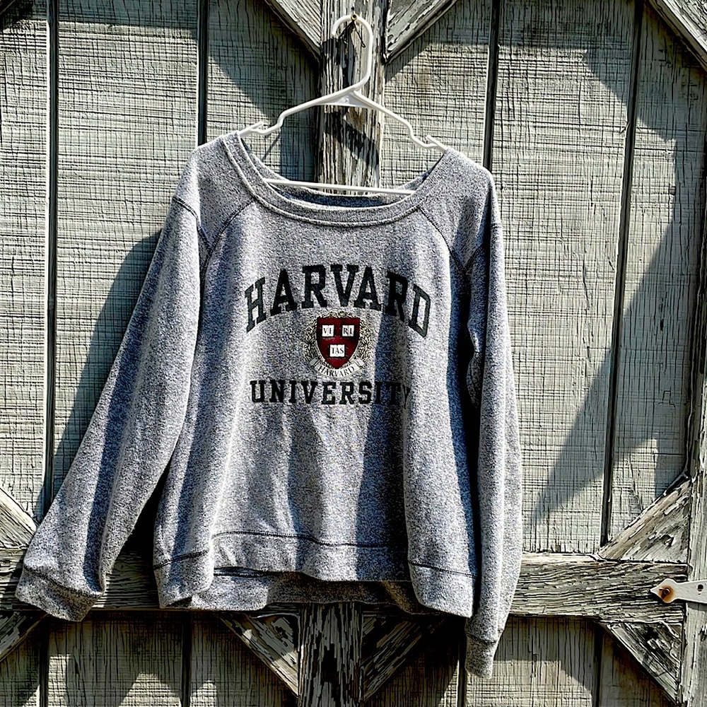 Xl grey sweater/sweatshirt